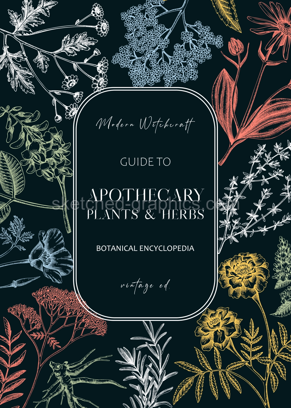Apothecary plant frame design. Witchcraft background. Herbal remedies, medicinal plant, witch herbs, natural medicine hand-drawn vector illustration. Vinatge card template. NOT AI genereted Illustration